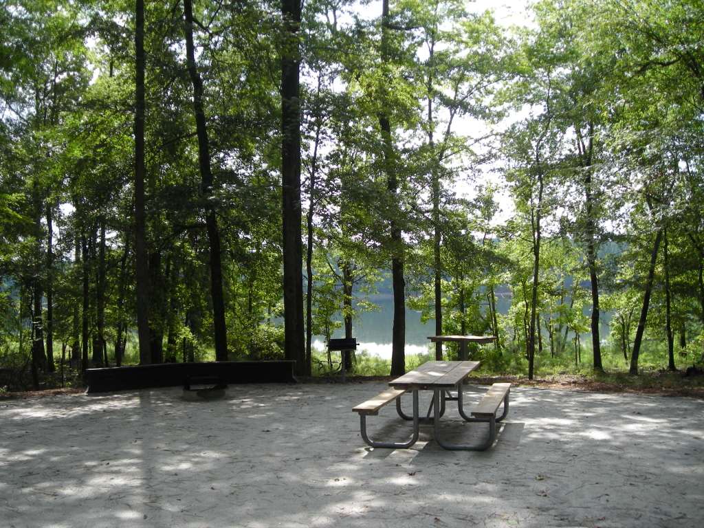 Escape to Serenity: Your Guide to Georgia's Hesters Ferry Campground