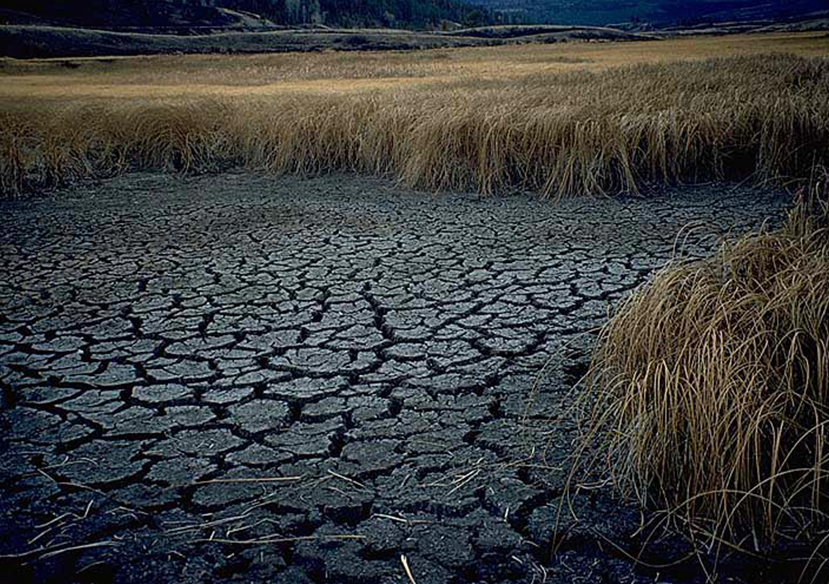 Photo of the drought conditions