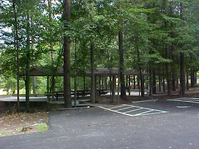 12 Mile Shelter #1
